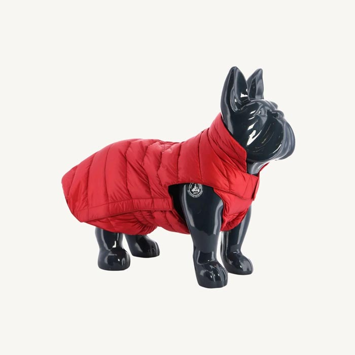 Rouge Dogs down jacket Woop：RED